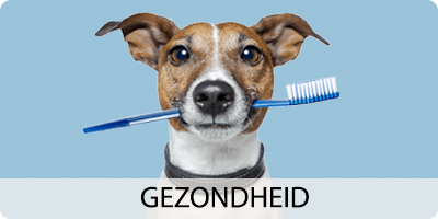 gezondheid